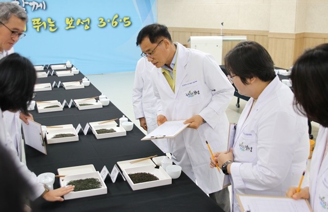 차의 외형, 찻물의 색, 향, 맛, 우려낸 잎 등 다섯 가지 항목에 대해 심사를 하고 있다