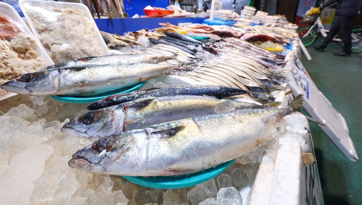 한 전통시장에 고등어가 놓여 있다. 기사 이해를 돕기 위한 자료 사진입니다. 고등어 가격이 높은 수준을 유지하는 것으로 나타났습니다. / 연합뉴스