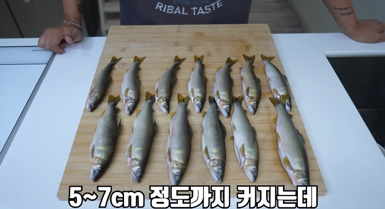 청정 계곡에서 잡은 은어 / 유튜브 '헌터퐝'
