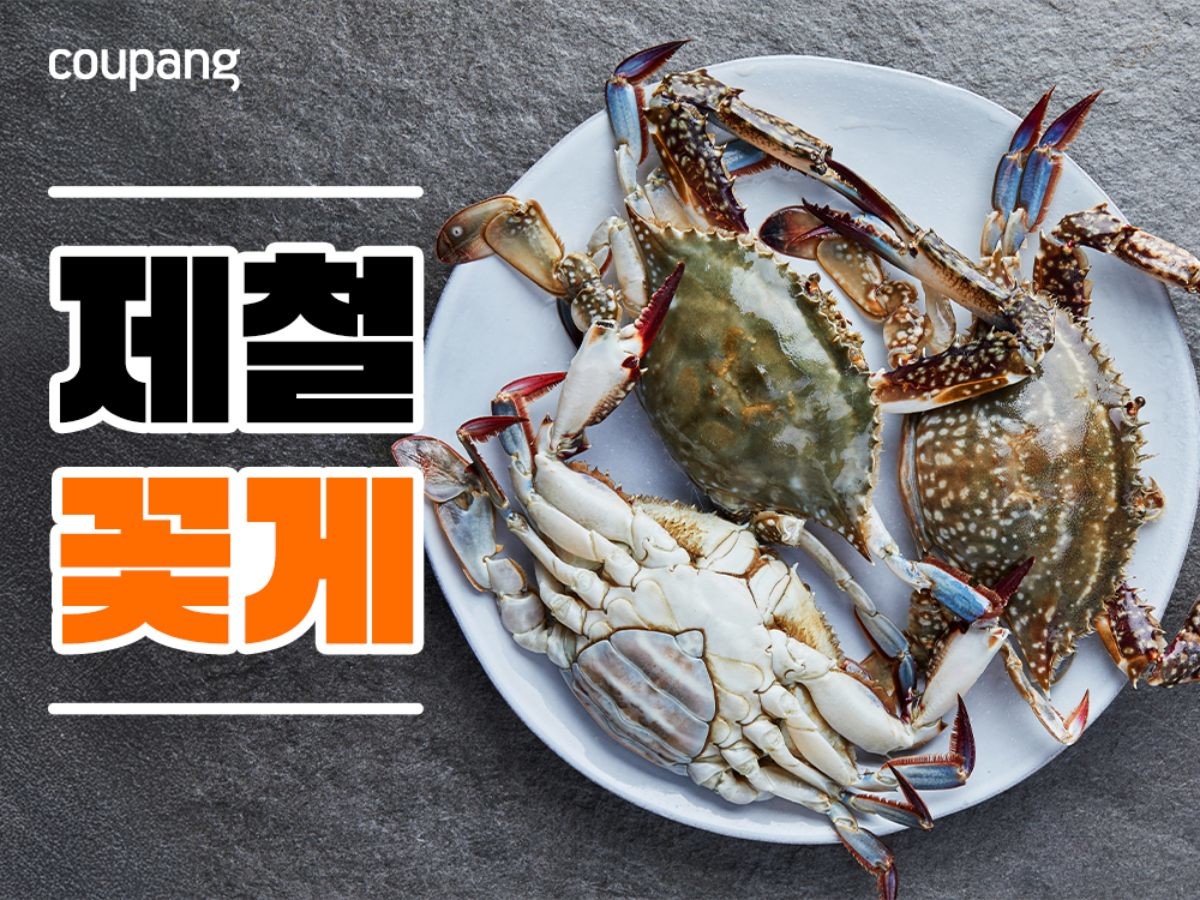 쿠팡 로켓프레시는 22일부터 내달 1일까지 '가을 꽃게 기획전'을 진행한다고 22일 밝혔다. / 쿠팡 제공