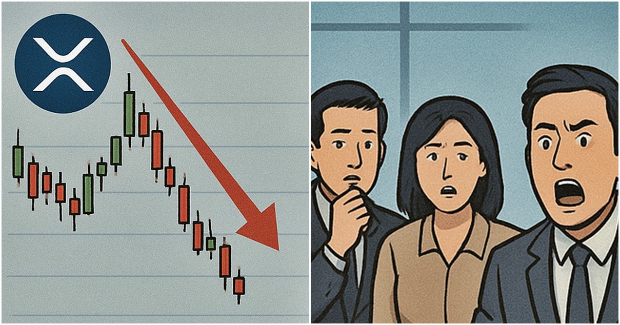 기사 내용을 바탕으로 한 참고 이미지