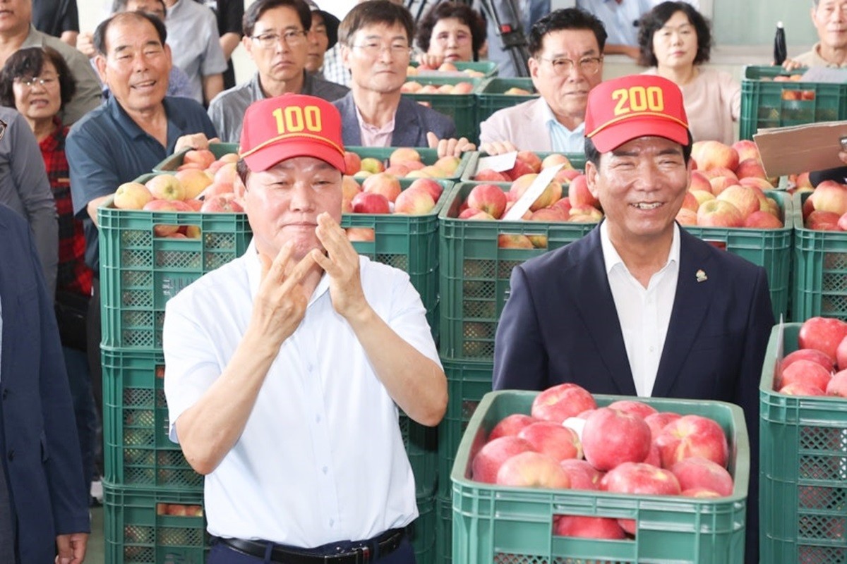 경남 거창군 거창사과원예농협은 22일 거창읍 청과물종합처리장에서 '2025년산 거창 홍로사과 초매식'을 진행했다. 사진은 거창 홍로사과 초매식 경매에 참여한 박완수 경남지사(왼쪽) 모습 / 경상남도 제공