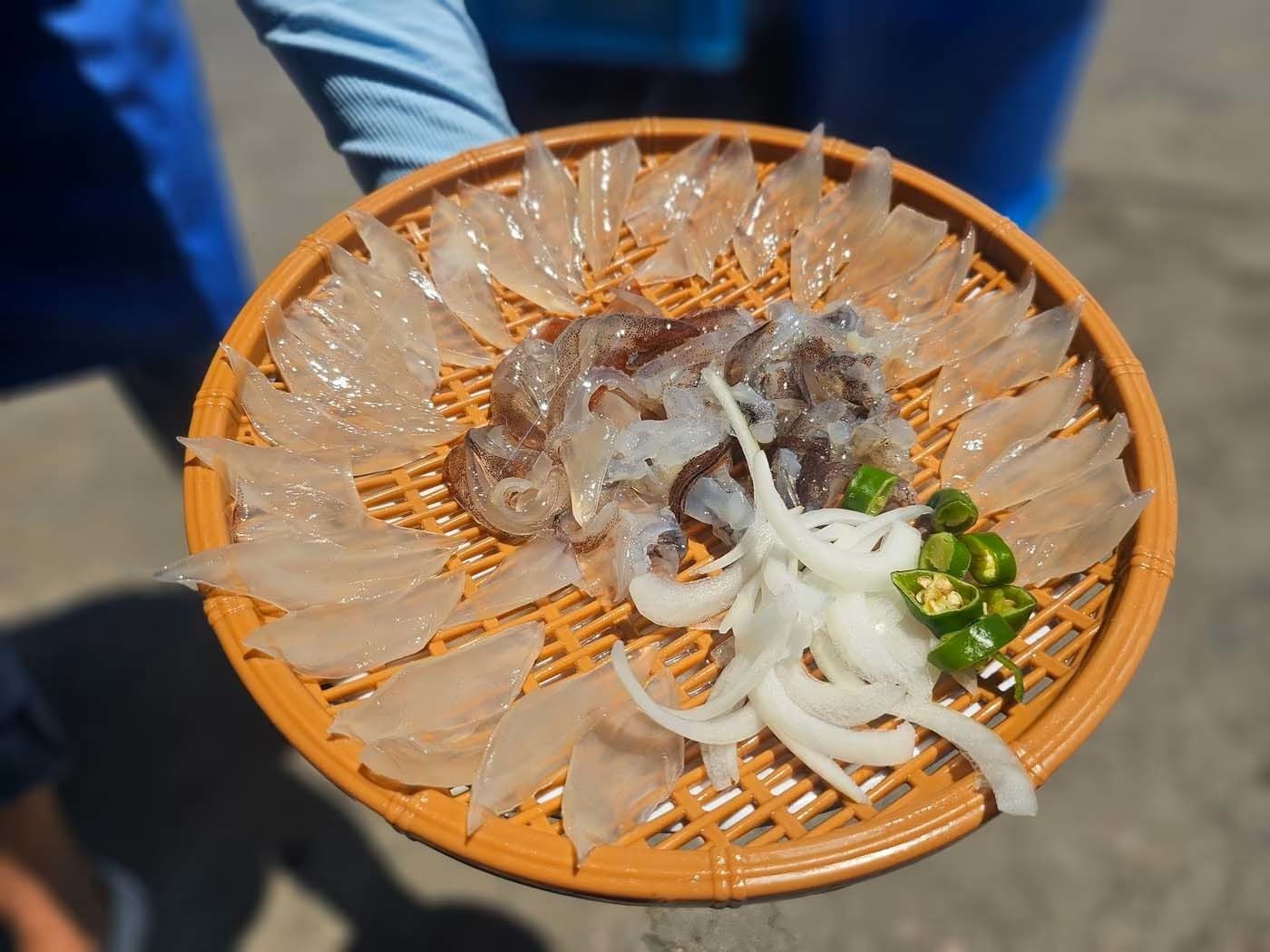 오징어 난전에서 2마리에 5만 6000원 주고 구매한 오징어 회. / 속초시청 자유게시판