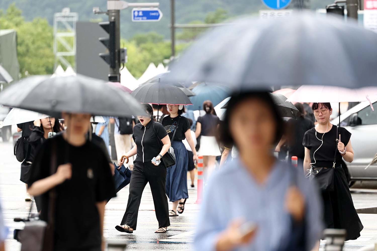 비 내리는 여름 자료사진 / 뉴스1