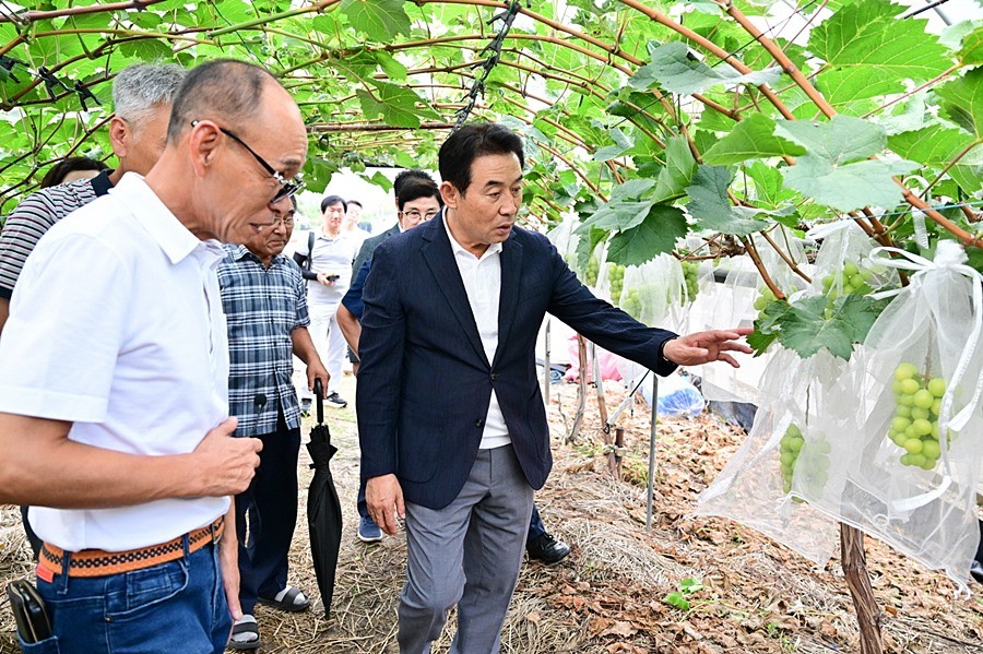 백영현 포천시장
