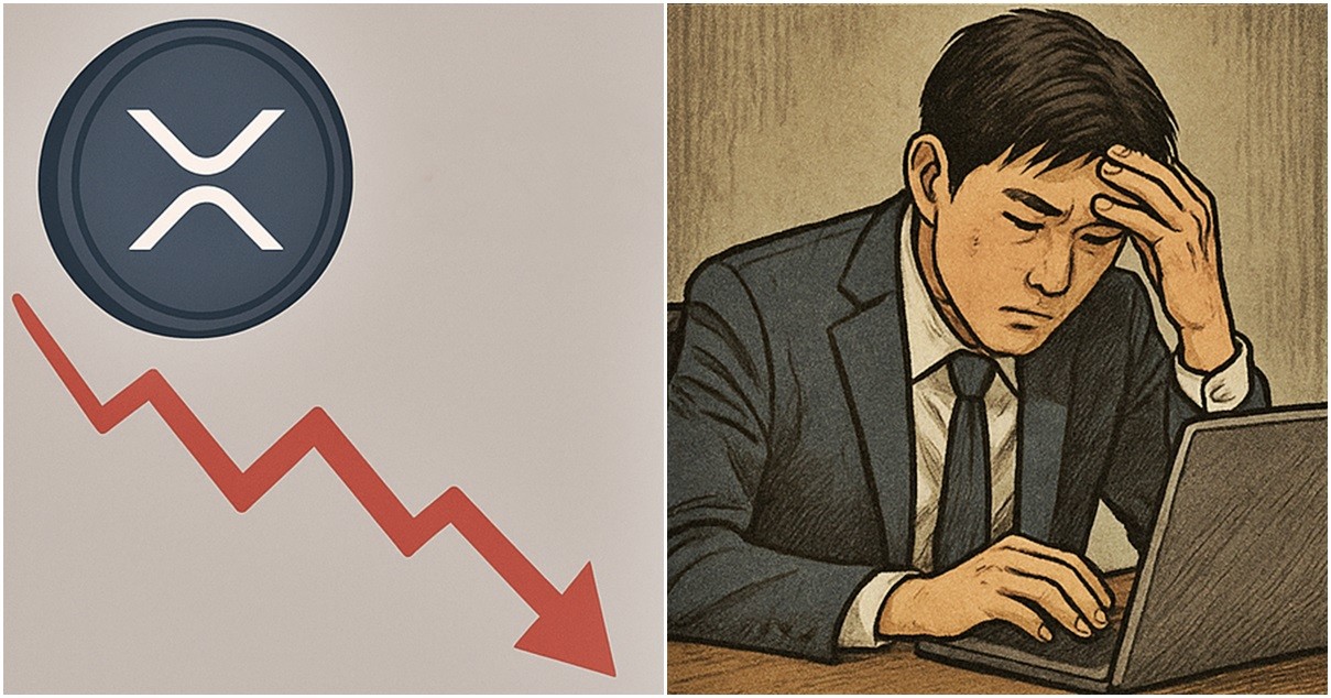 기사 내용을 바탕으로 한 참고 이미지