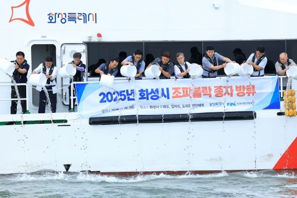 화성시가 조피볼락 종자 130만 마리를 방류했다고 밝혔다. / 화성시