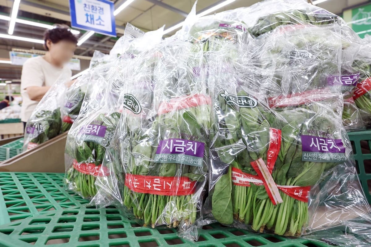대형마트에 진열된 시금치 / 뉴스1