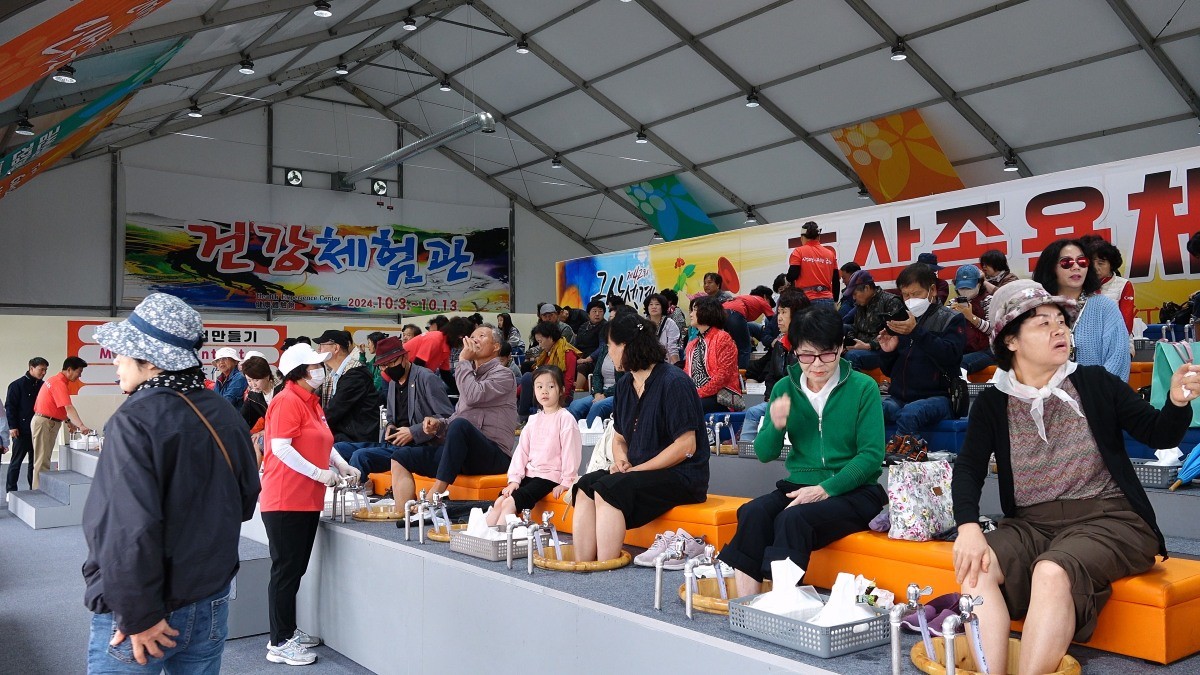 지난해 금산세계인삼축제 모습 / 금산군