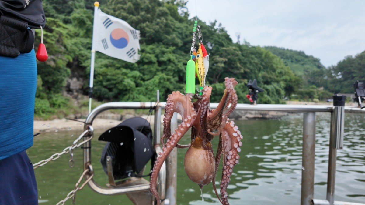 EBS1 '한국기행' 미리보기 페이지에서 제공하는 '율티마을 잔칫날' 편 자료 사진. / EBS1 제공