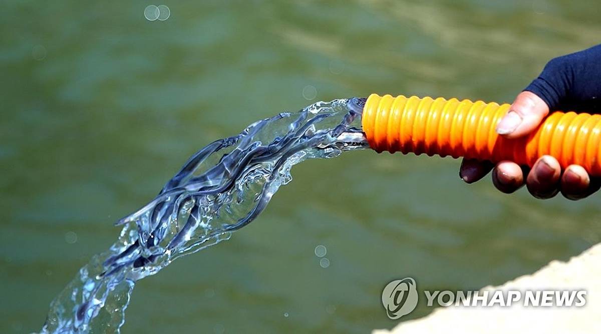 방류되는 뱀장어 치어 / 연합뉴스