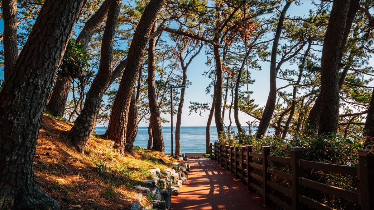 부산 죽도공원 숲길. / Sanga Park-shutterstock.com