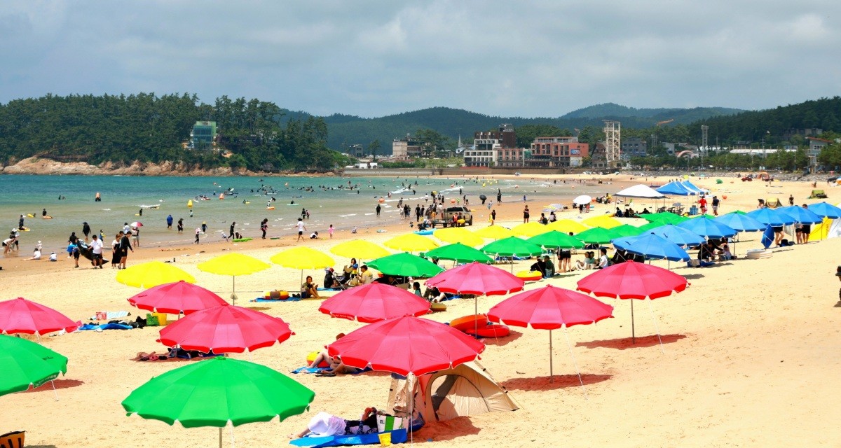만리포해수욕장 / 태안군군