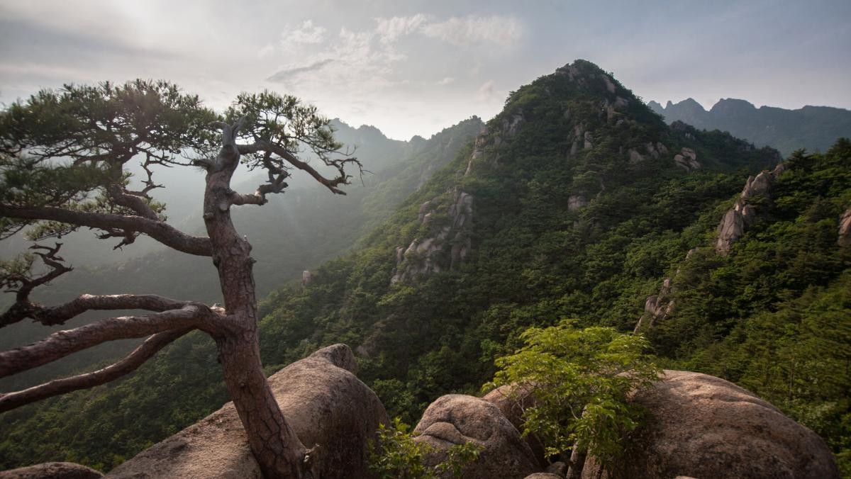가야산. / Tom Robertson-shutterstock.com