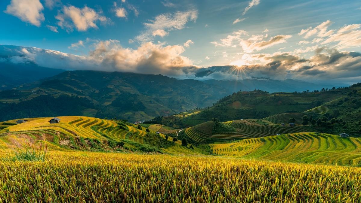 베트남 무캉차이. / Phong canh Viet Nam- Ha Giang, Mu cang chai,