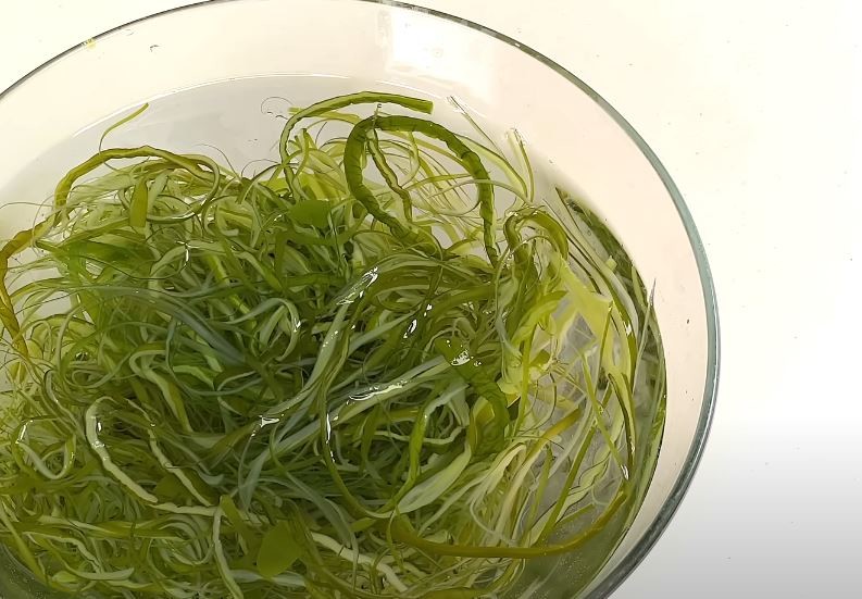유튜브 '딸을 위한 레시피 Recipes for daughters'