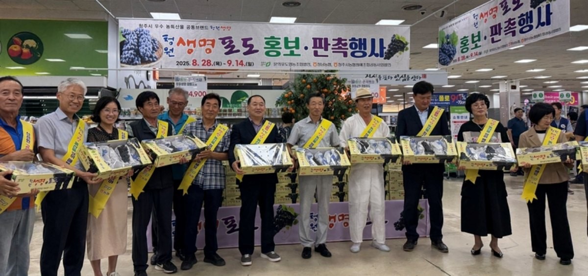 청주시가 '청원생명포도' 출하 시기를 맞아 마련한 농협유통 청주지점 하나로마트 판촉 행사가 지난 28일부터 시작했다. / 청주시 제공