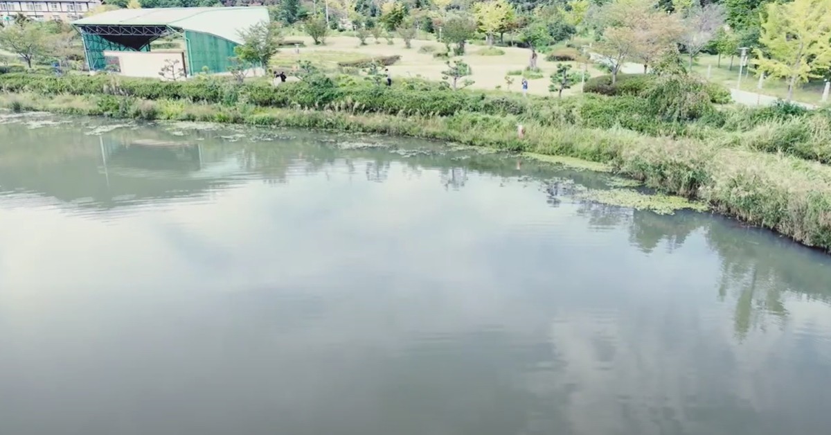 전남도청 남악저수지. / 유튜브