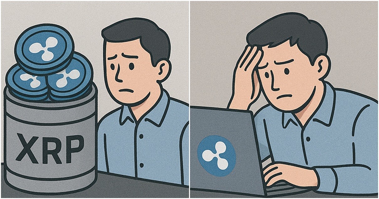 기사 내용을 바탕으로 한 참고 이미지