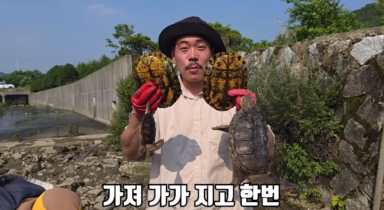 한국 경상남도 웅덩이에서 잡힌 생태계교란종 거북들 / 유튜브 '헌터퐝'