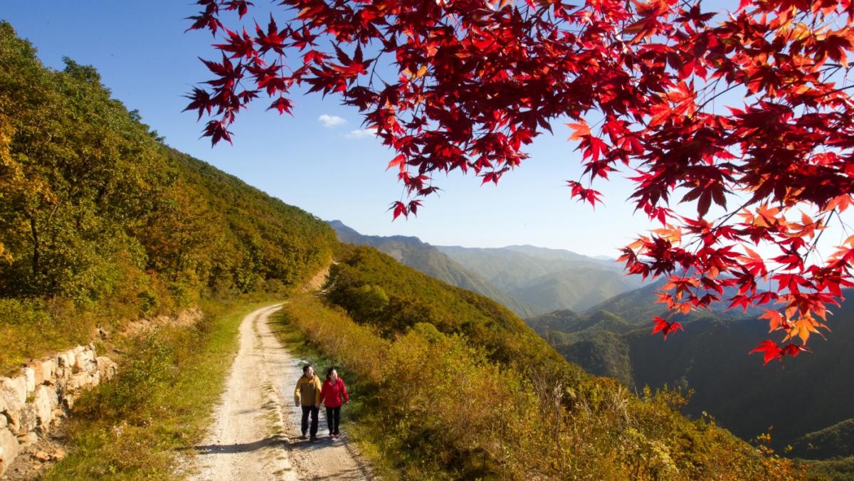 강원 정선군 하이원리조트 하늘길 운탄고도에서 등산객들이 가을 산행을 즐기고 있다. (강원랜드 제공) / 뉴스1