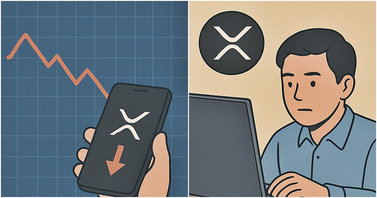 기사 내용을 바탕으로 한 참고 이미지