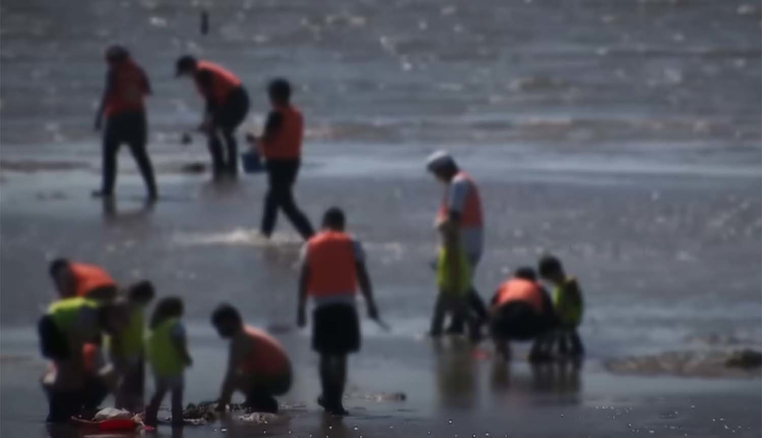 해루질하는 사람들 / SBS 뉴스