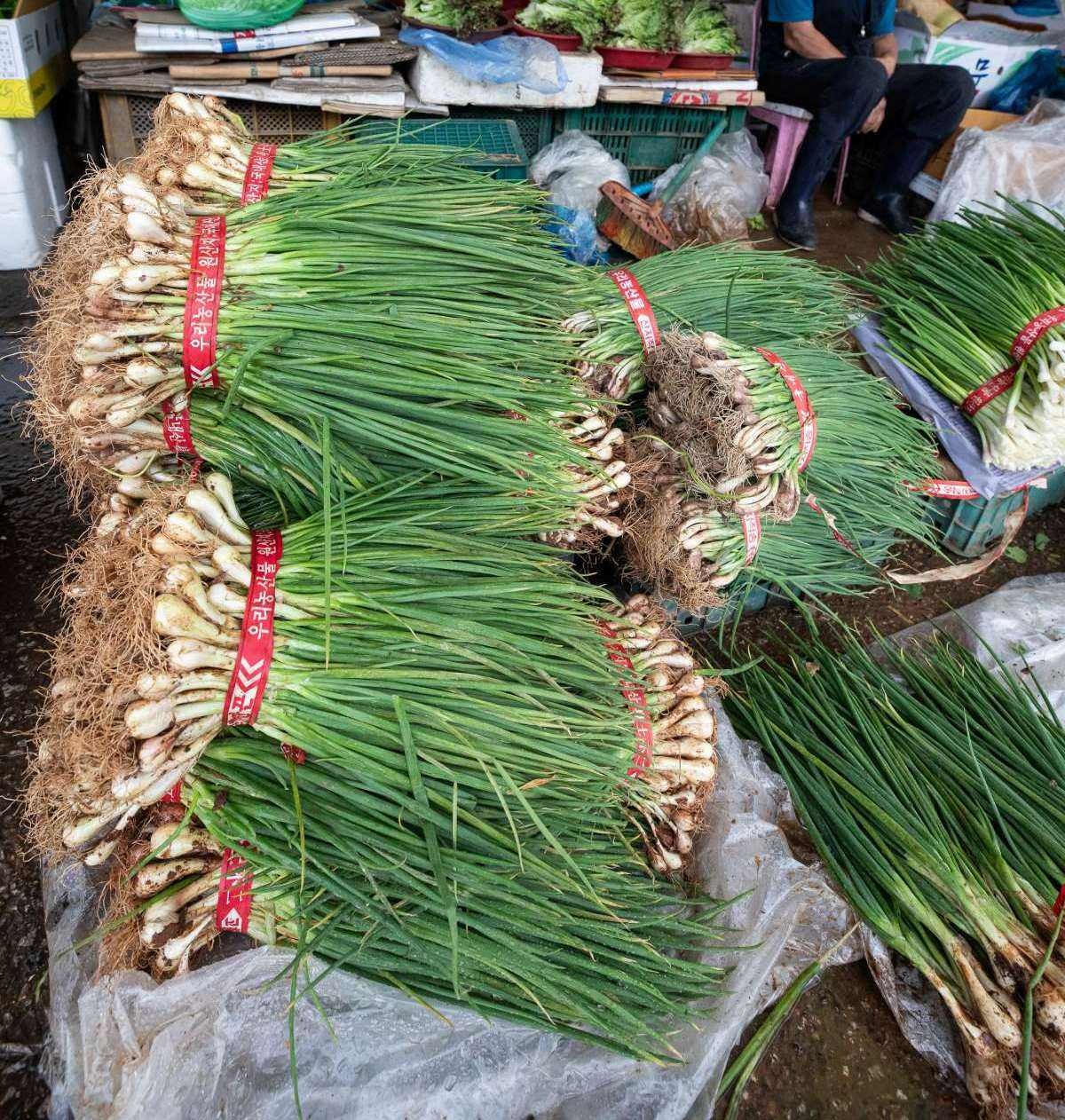 쪽파 더미. 자료사진. / 뉴스1