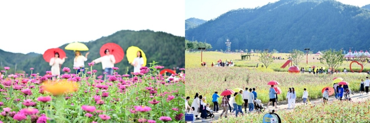 산소카페 청송정원 / 청송군 제공