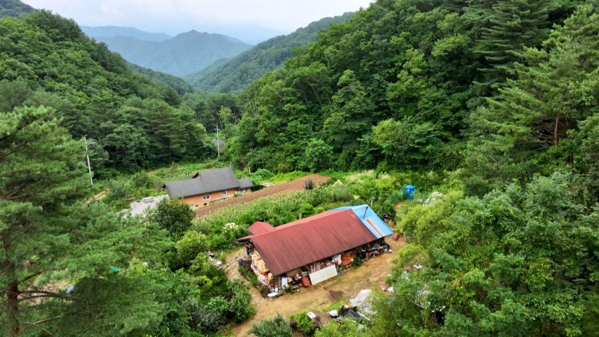 EBS1 '한국기행' 미리보기 페이지에서 제공하는 '오지게 좋다, 싸릿골 두 남자' 편 자료 사진. / EBS1 제공