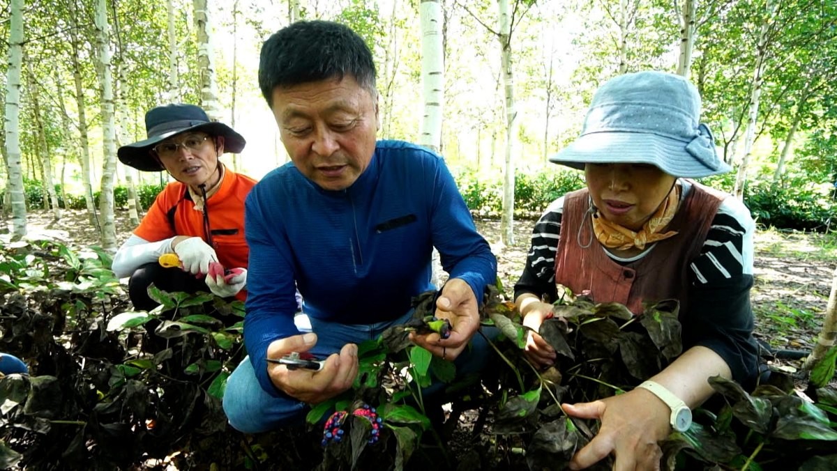 EBS1 '한국기행' 미리보기 페이지에서 제공하는 '농사는 감동이다' 편 자료 사진. / EBS1 제공