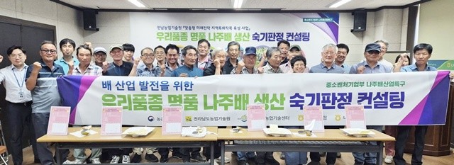 나주시가 고품질 나주배 생산을 위해 농가에 수확 시기를 알리고 적기 수확을 유도하고 있다. 지난달 22일에 진행한 나주배 생산 숙기판정 컨설팅