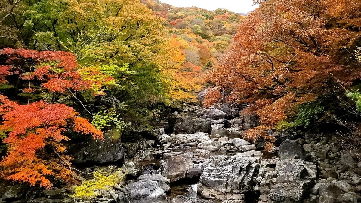 지리산 피아골. / YOO DAE SOUNG-shutterstock.com