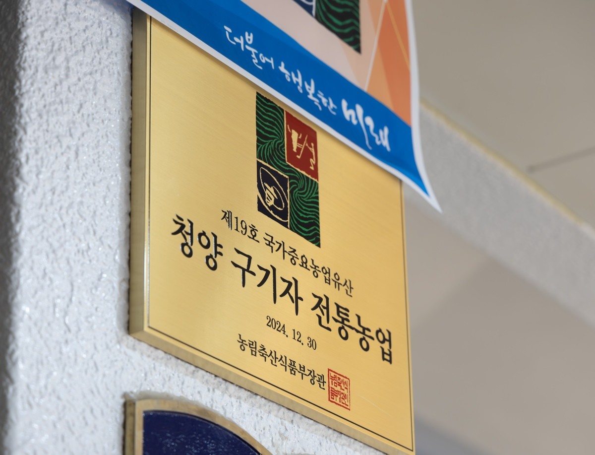 지난 2024년 12월 청양구기자 전통농업이 제19호 국가중요농업유산으로 선정된 기념 현판 / 청양군