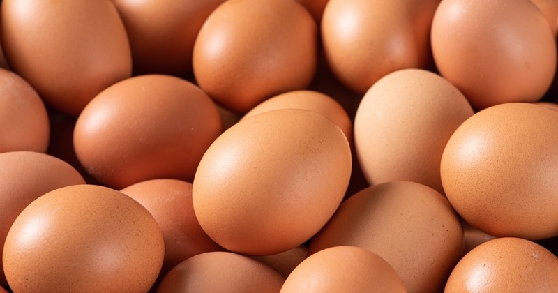 계란 / tyasindayanti-shutterstock.com