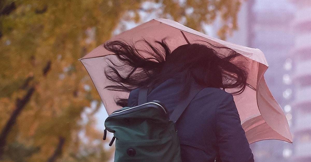 가을비 자료 사진 / 연합뉴스