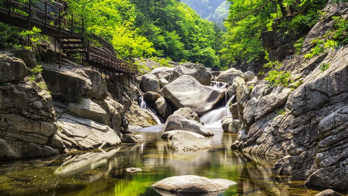 오대산 국립공원. / aaron choi-shutterstock.com