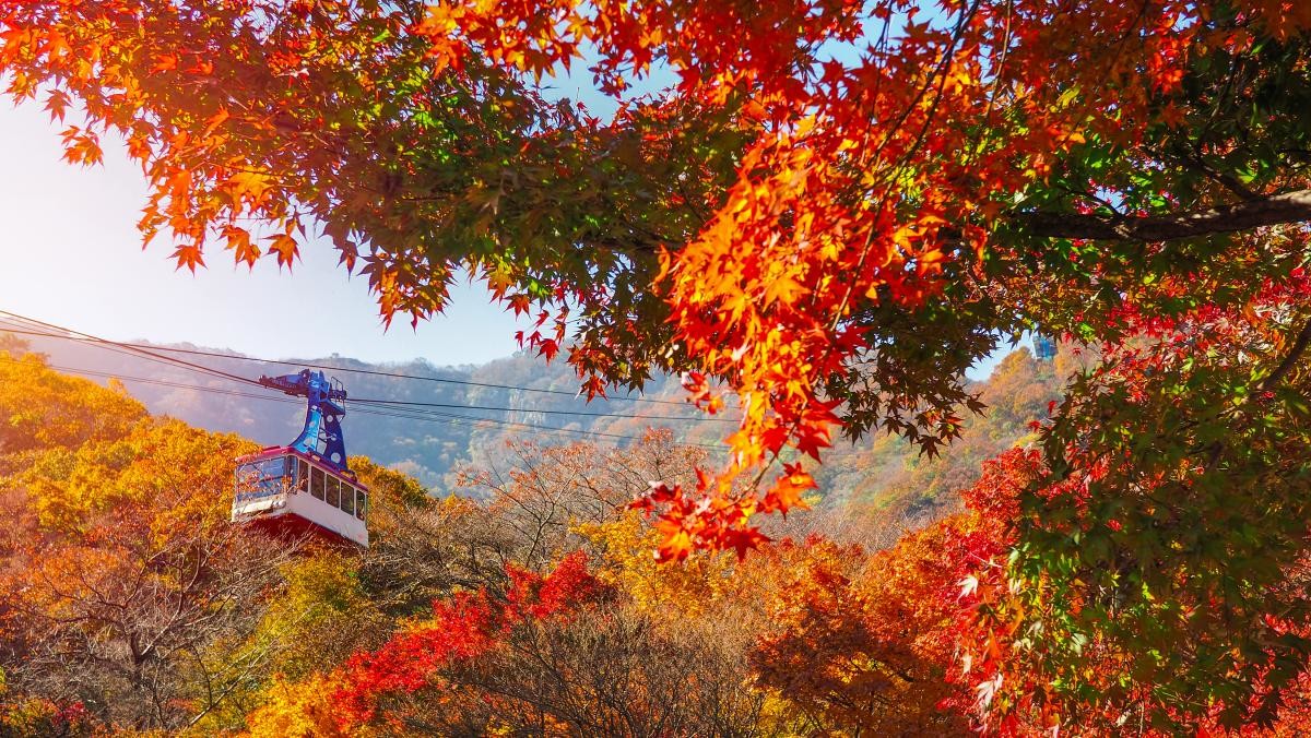 내장산. / NavyBank-shutterstock.com