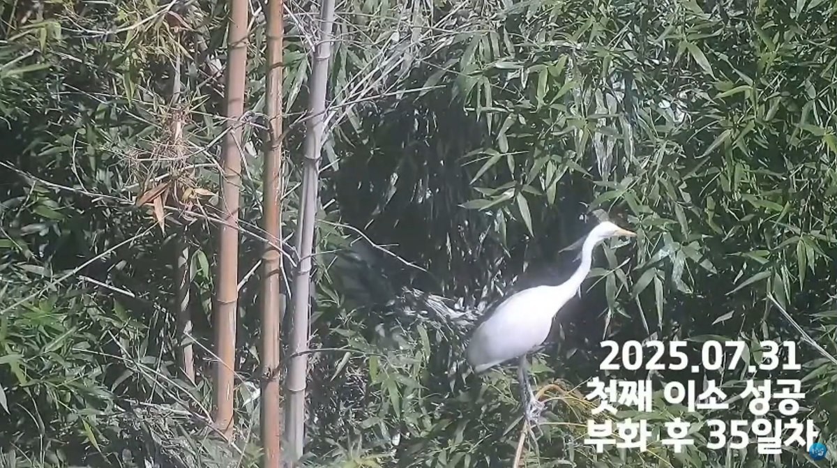 첫째 이소 성공 / 유튜브, '울산고래TV' 캡처