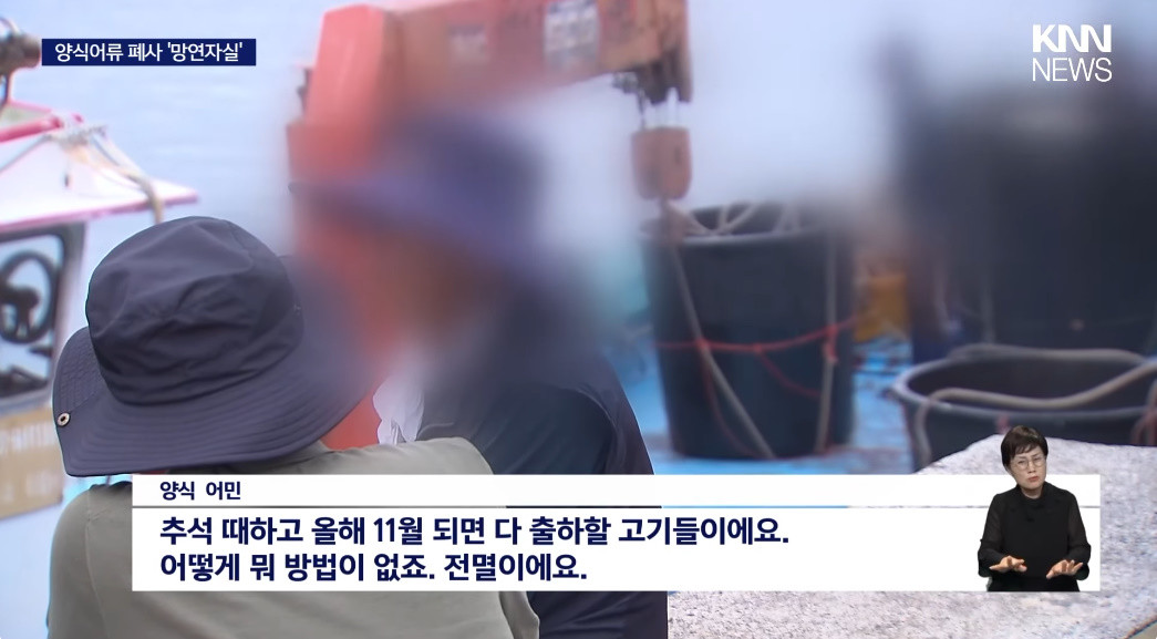 적조로 어류 집단 폐사 피해를 본 어민 인터뷰 / 유튜브 'KNN NEWS'