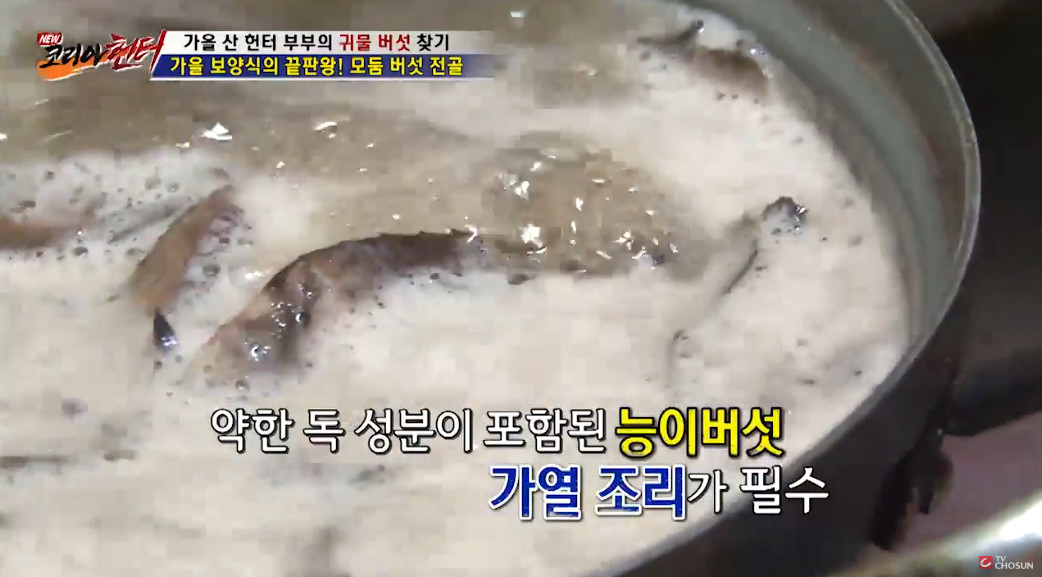 약한 독 성분이 있어 가열 조리가 필수인 능이버섯 / TV조선 '코리아 헌터'