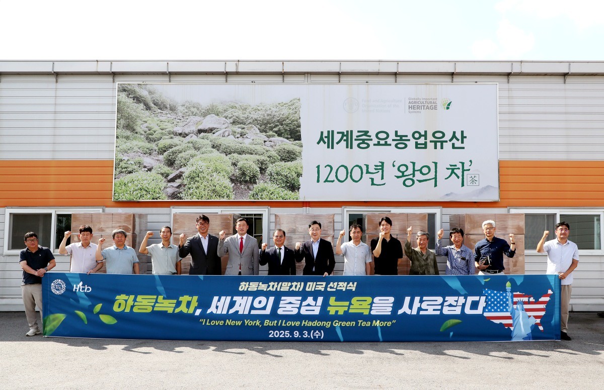 하동 녹차가 뉴욕에 첫 수출된다. / 하동군 제공