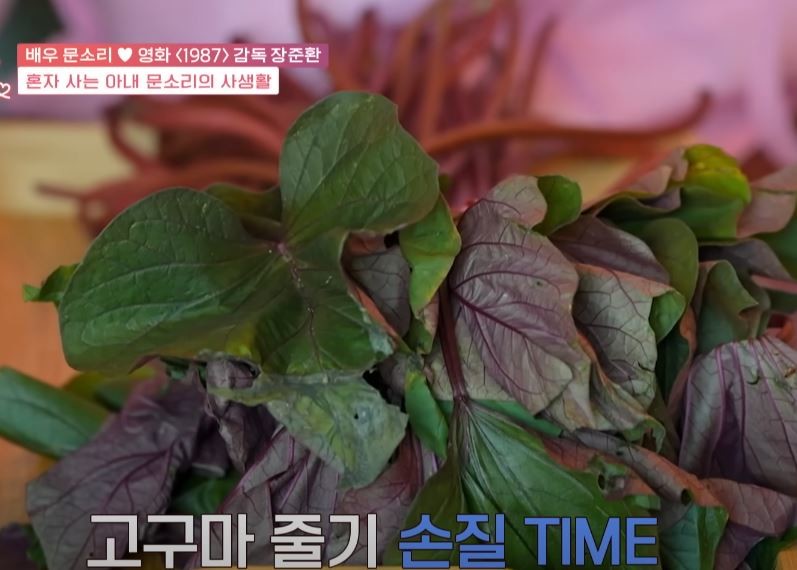 tvN STORY '각집 부부'