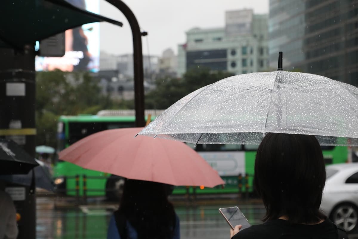 비가 내리고 있는 4일 오전 서울 세종대로사거리 횡단보도에서 우산을 쓴 시민들이 신호를 기다리고 있다. / 뉴스1