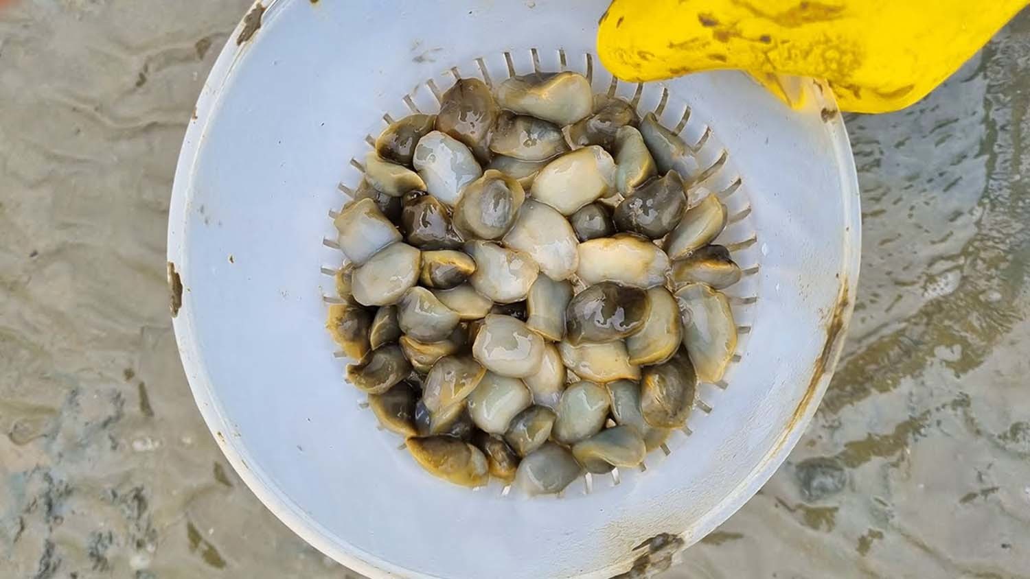 민챙이 / '헌터퐝' 유튜브