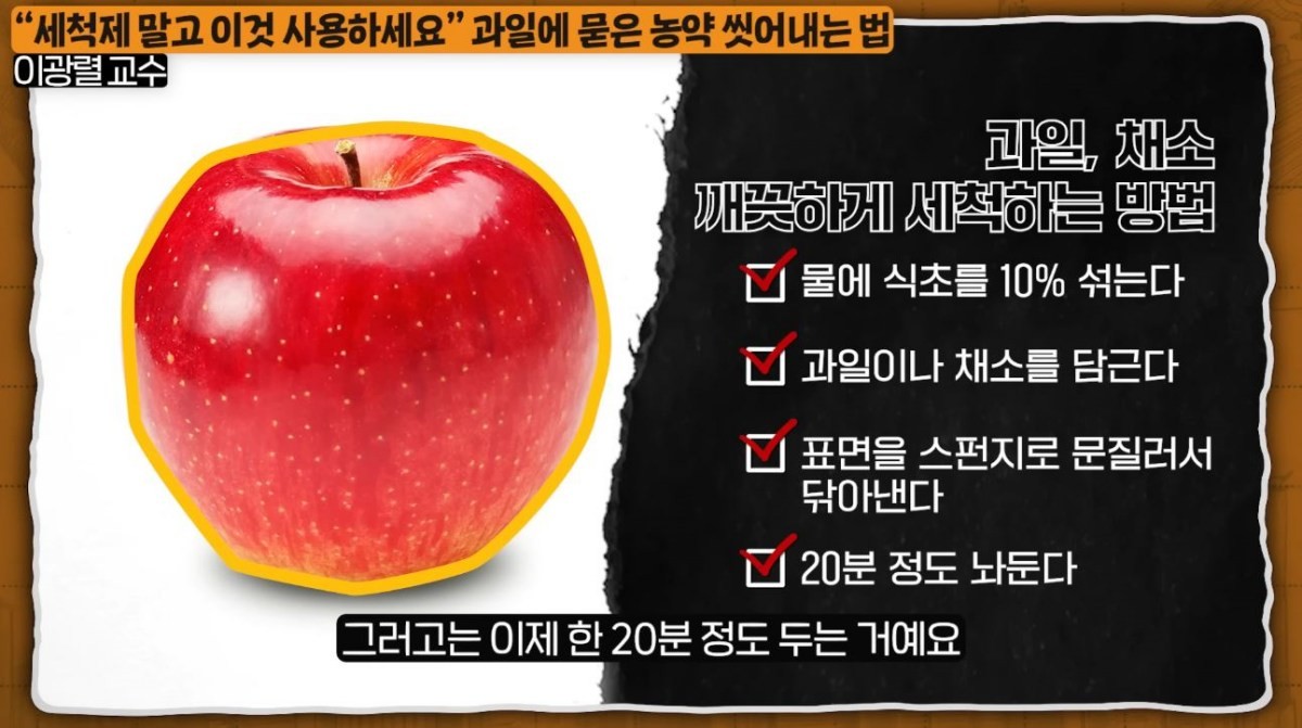 이광렬 교수가 설명한 '과일 채소 깨끗하게 세척하는 방법'. / 유튜브 '지식인사이드'