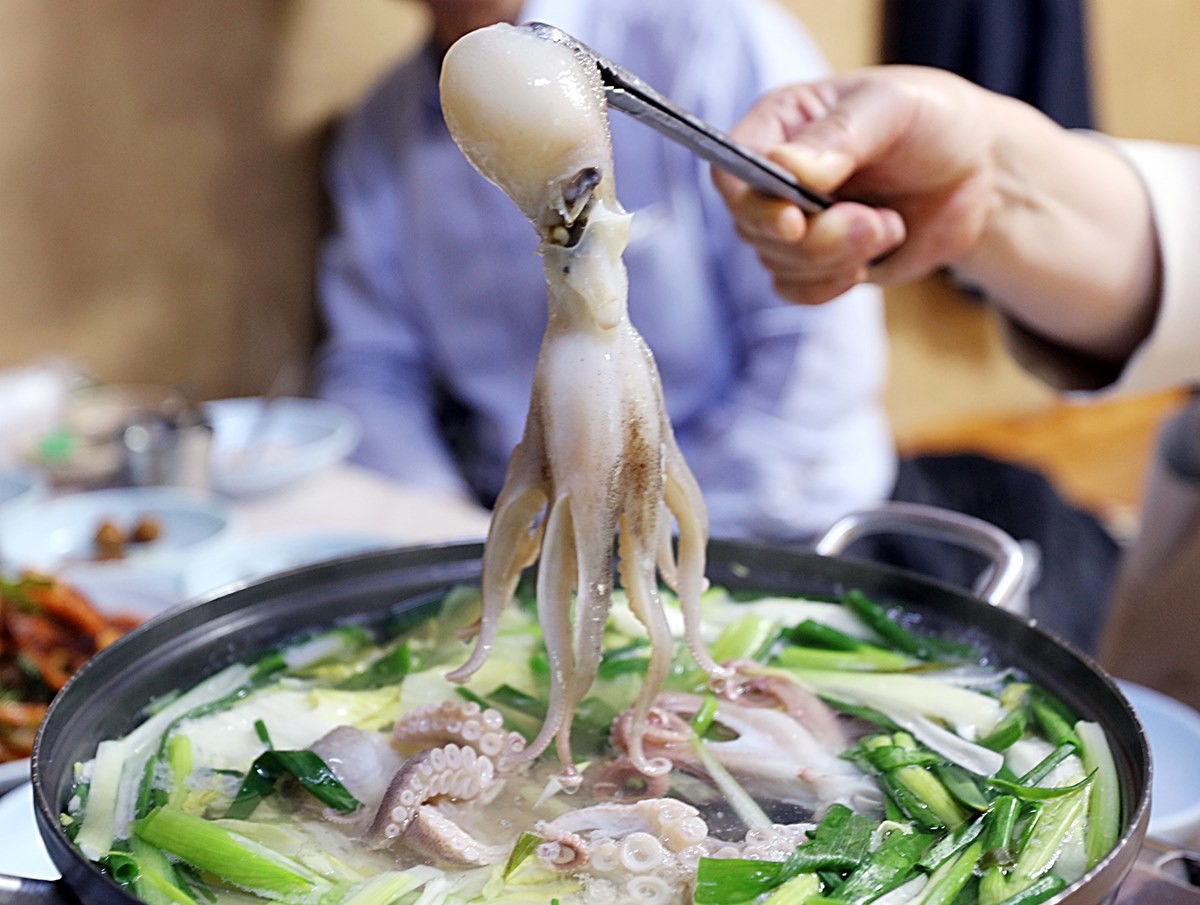 주꾸미 요리 모습. 기사 이해를 돕기 위한 자료 사진입니다. / 연합뉴스