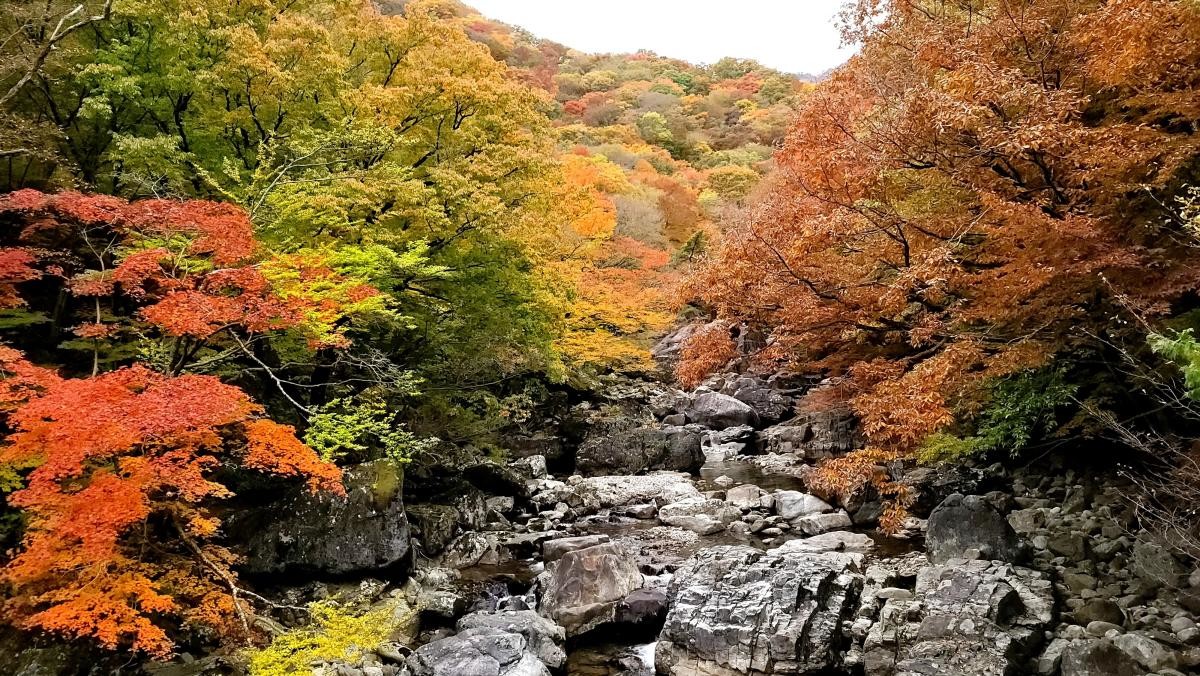 지리산. / YOO DAE SOUNG-shutterstock.com