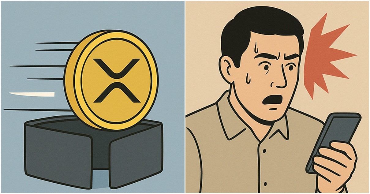 기사 내용을 바탕으로 한 참고 이미지
