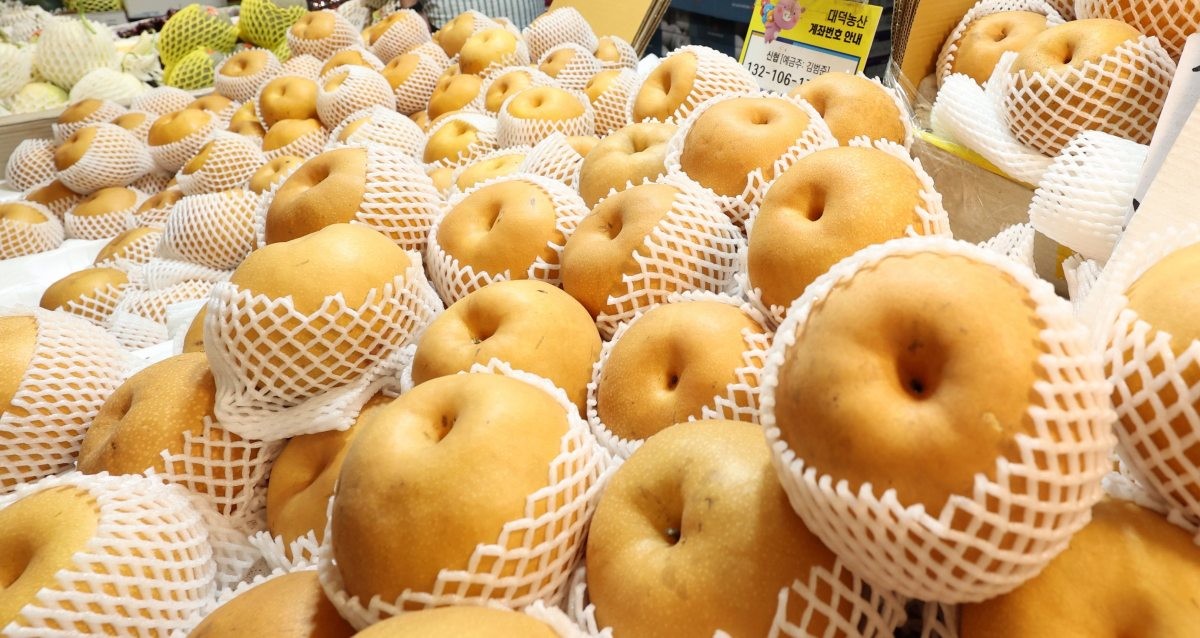 배. 자료사진. / 뉴스1